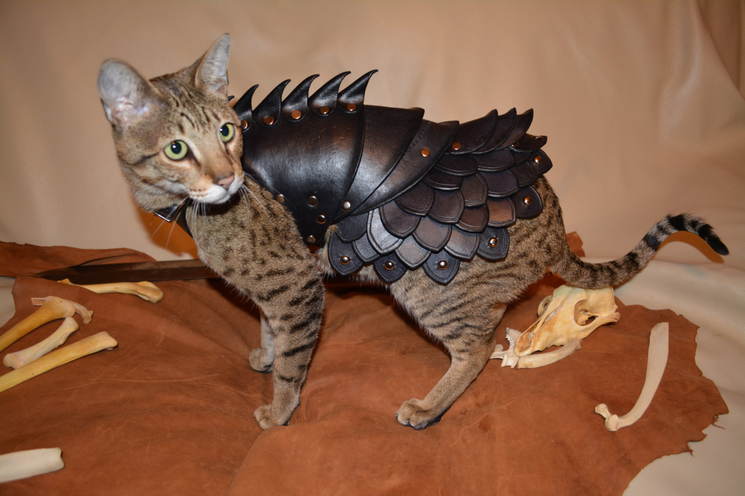 Cat Battle Armor Made From Leather OhGizmo!