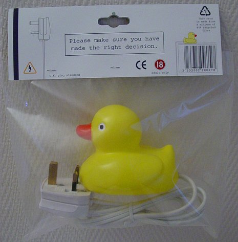 electric bath duck