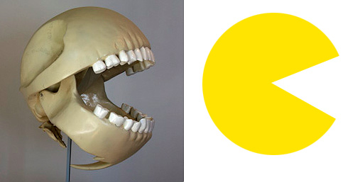 Pac-Man Skeleton (Image courtesy Legentilgarcon.com)