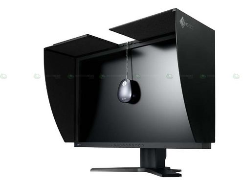 eizo2.jpg