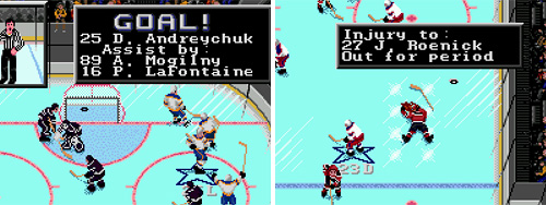 NHLPA Hockey '93 (Images courtesy NHLPA'93.com)