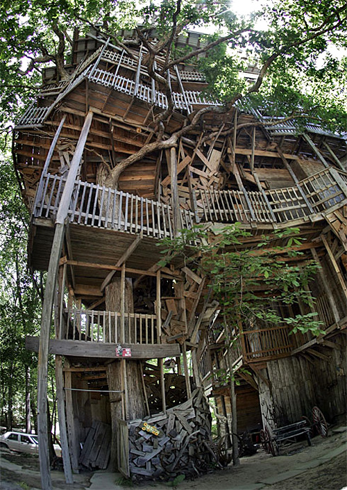 Horace Burgess's Treehouse (Image courtesy USA Today)