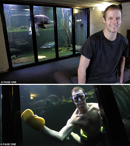 Britain's Largest Home Aquarium (Images courtesy The Daily Mail)