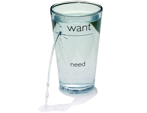 Want/Need Glass (Image courtesy HolyCool.net)