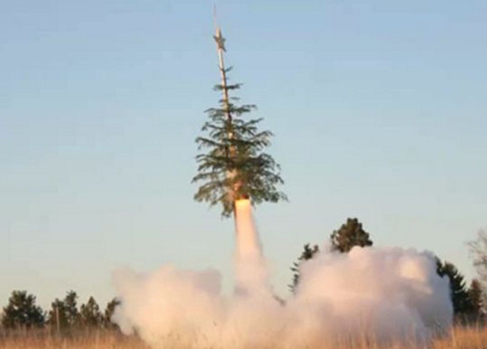 Rocket Tree