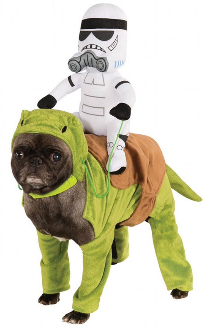 Star Wars Dog1