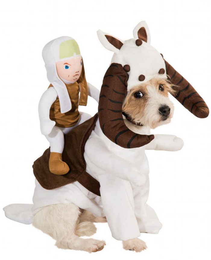 Star Wars Dog2