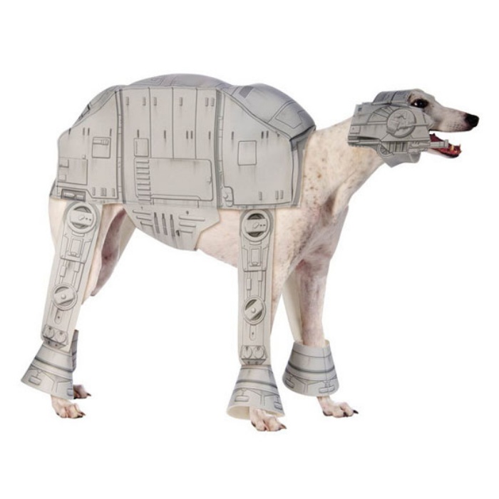 Star Wars Dog3