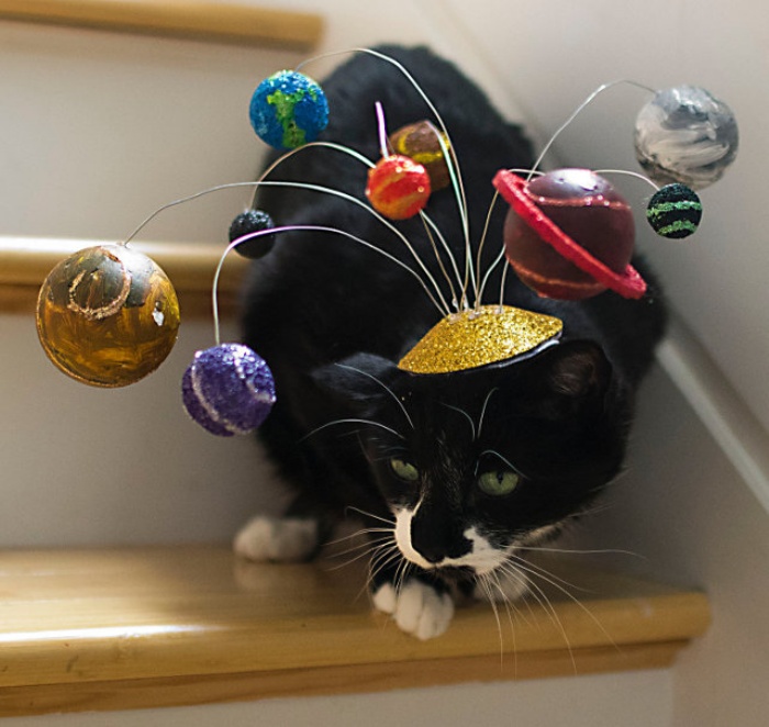 Solar System Cat Hat