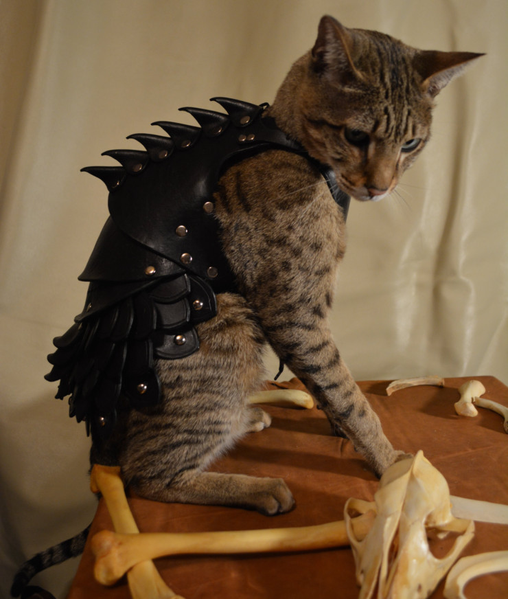 cat-armor-3