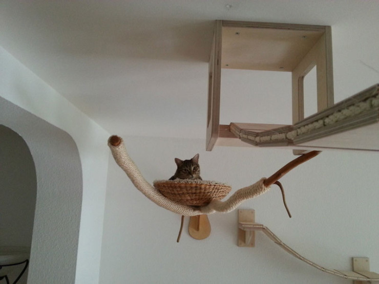 ceiling-furniture-for-cats-by-goldatze-gold-paw-15