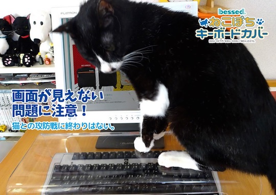 neko-pochi-anti-cat-protection-keyboard-cover-2