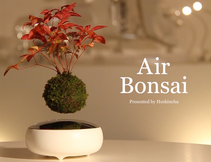 Air-Bonsai-02