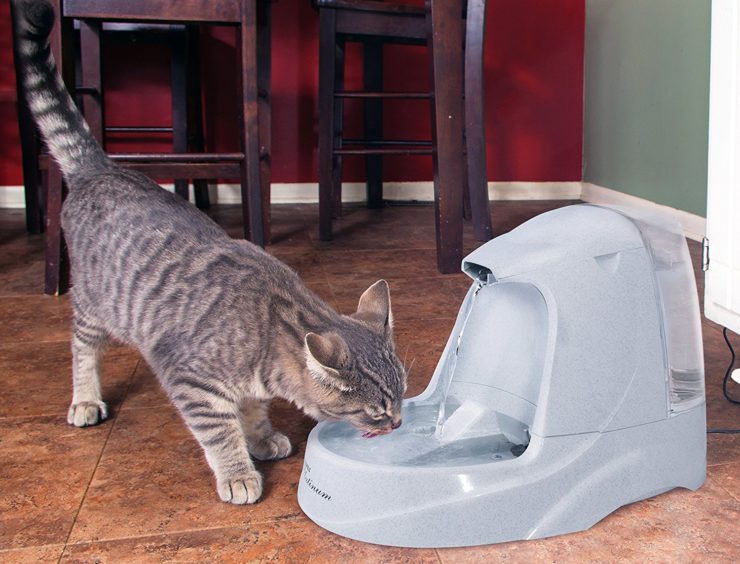 PetSafe Drinking Pet Fountain