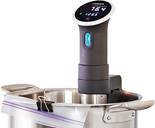 Anova Culinary Sous Vide Precision Cooker 